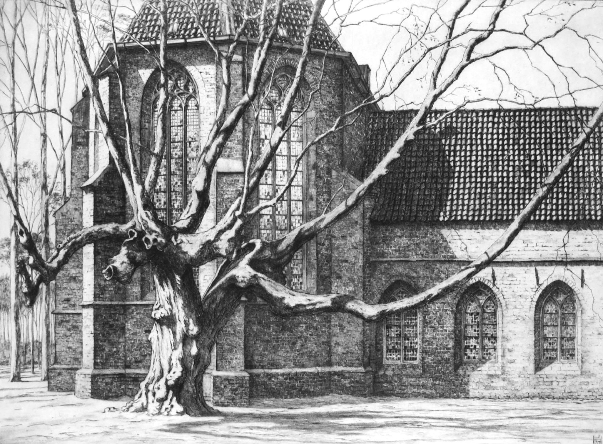 De Twaalfapostelenboom op een ets van Johan Hemkes uit 1937.