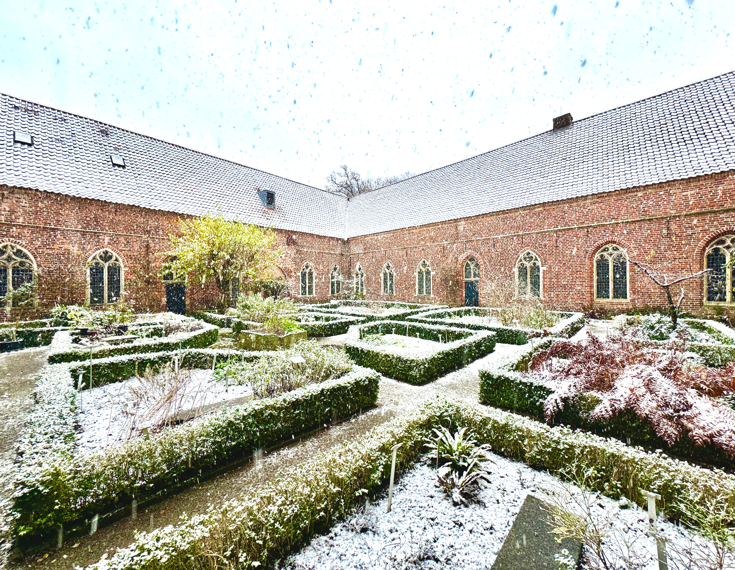 De kruidentuin in de sneeuw.