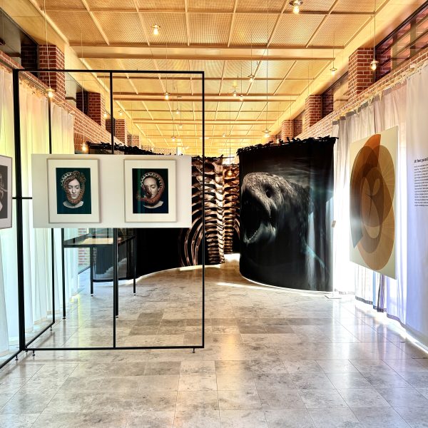 De tentoonstelling opent met intrigerend werk van Juul Kraijer.