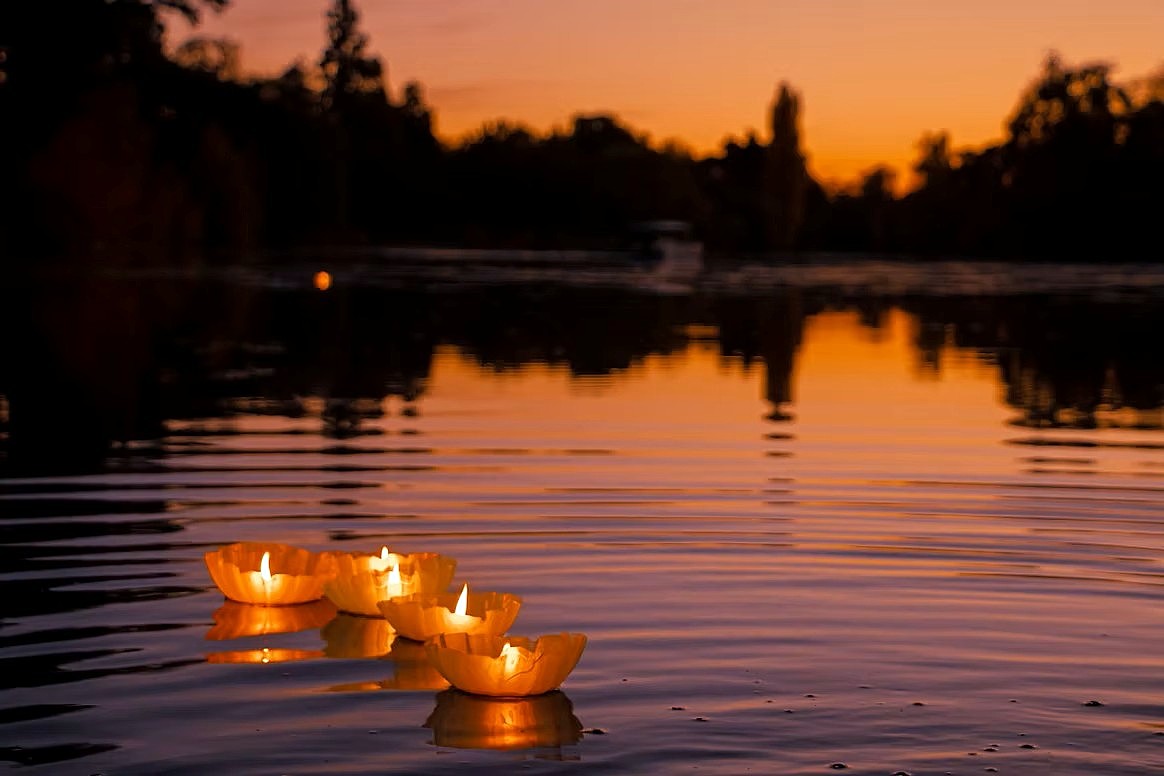 Lichtje in de bosvijver